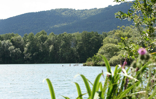 Baggersee