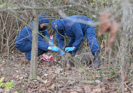 Schweinepest-Allgemeinverfügung erlassen