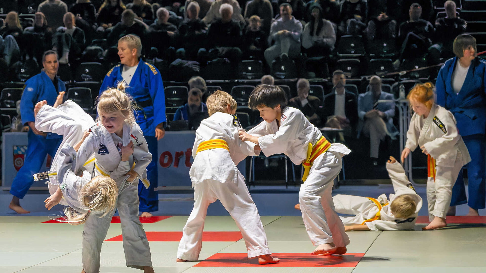 Die jüngsten Judoka des Judoclubs Obernburg