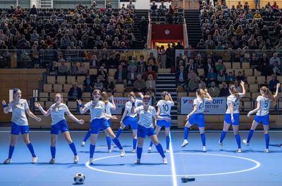 Schautanz der mittleren Garde dews RCC Röllfeld