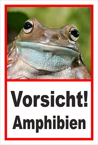 Vorsicht Amphibienwanderung