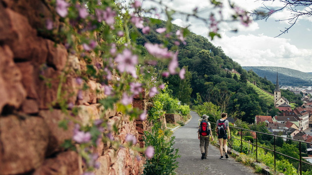 Wandern auf den Spuren des Weines