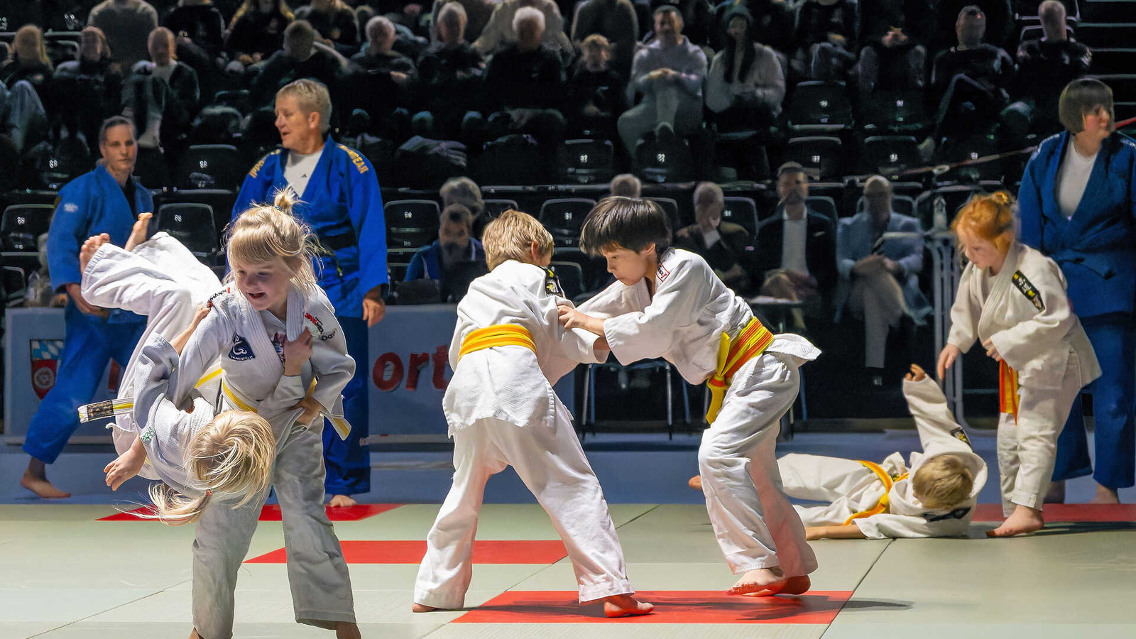 Die jüngsten Judoka des Judoclubs Obernburg