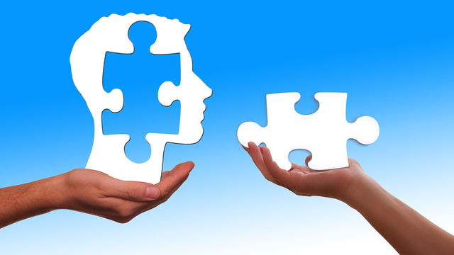 Das Gedächtnis als Puzzleteil des Kopfes